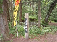 DSCN7364