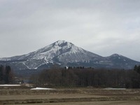 IMG_2308