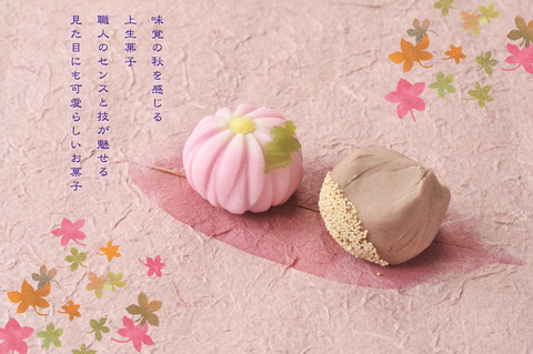 JQ上生菓子