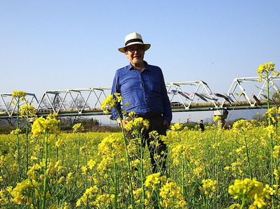 菜の花畑