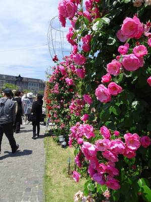 バラ祭り
