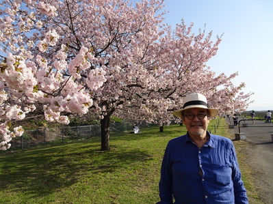 八重桜