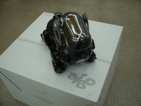 DSC00484