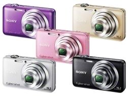 DSC-WX30