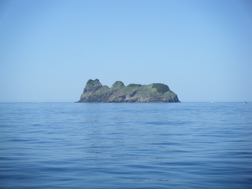DSCF7878