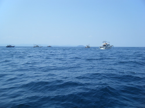 DSCF7917