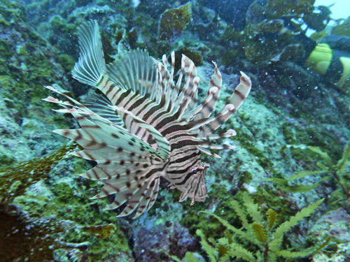 P1010206