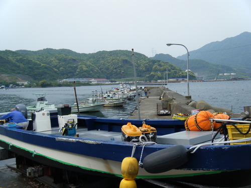 2012sennteitoryou 017