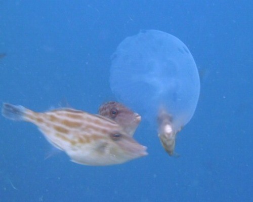 P1010173