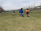 IMG_5229