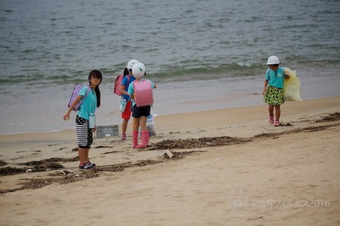 篠島ウミガメ隊_2016-10-05 07-35-51