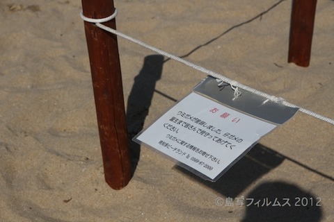 ウミガメ産卵_篠島_前浜_2011-06-28 15-20-54