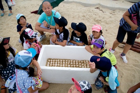 ウミガメ隊_産卵_2014-07-08 15-19-24