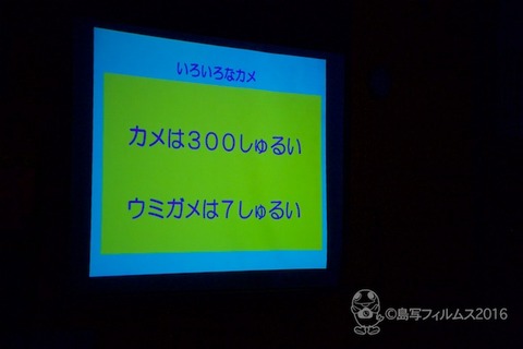 篠島ウミガメ隊_結団式_2016-05-25 13-58-43