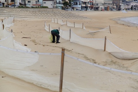 ウミガメ隊_2015-01-21 07-52-42