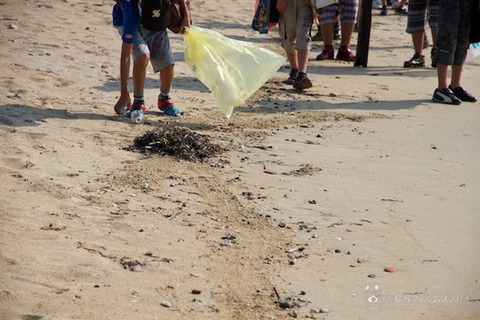 ウミガメ隊_ゴミ拾い_前浜_2013-07-10 07-43-20