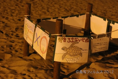 ウミガメ産卵_篠島_前浜_2011-07-04 20-37-38
