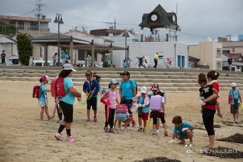 ウミガメ隊_ゴミ拾い_前浜_2013-07-03 07-45-31