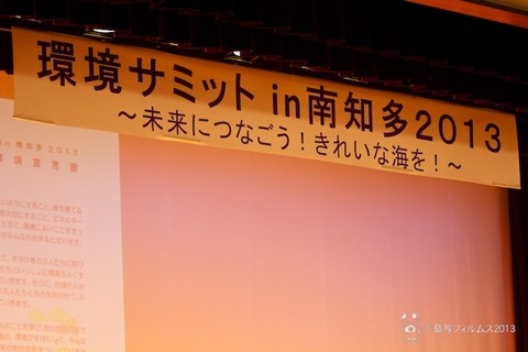 ウミガメ隊_環境サミットin南知多_2013-08-24 15-31-47