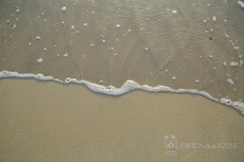 ウミガメ隊_2016-01-13 07-42-17