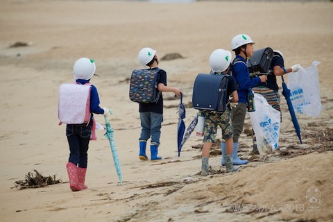 篠島ウミガメ隊_2018-05-23 07-46-21