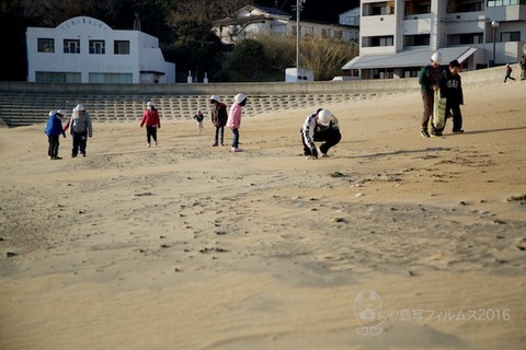 ウミガメ隊_2016-03-02 07-40-01