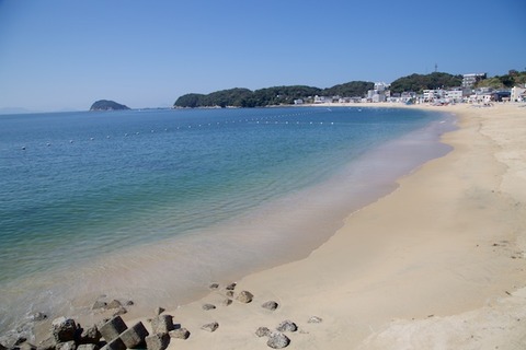 篠島ウミガメ隊_2018-08-01 09-22-12
