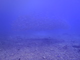P2020128