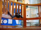 DSC02816