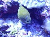 P1300051