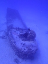 P2010100