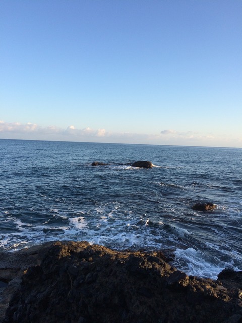 10.15磯