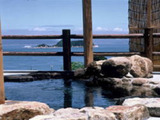 jyaranaionnyu4
