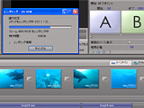 イルカ動画ただいま編集中!