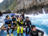 御蔵島ドルフィンスイム