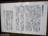 南郷のオオジイ