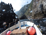 御蔵島 元根