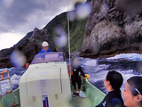 御蔵島・元根クルーズ!