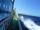 いざ御蔵島へ