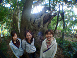 巨樹の前で記念撮影
