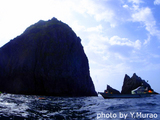 御蔵島・元根