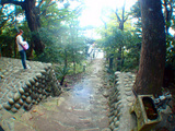 稲根神社へ参拝
