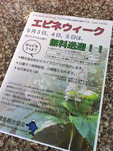 エビネウィーク