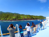 亜熱帯気候の八丈島