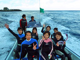 御蔵島ドルフィンスイム