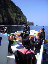 御蔵島 ドルフィンスイム