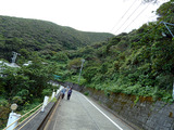 御蔵島村内散策