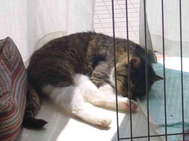 DSC00011