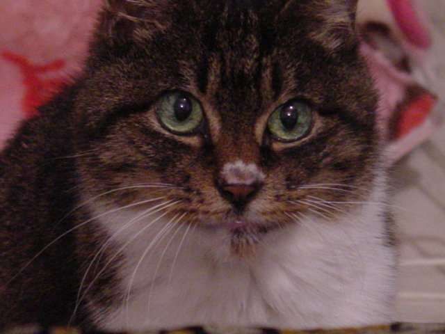 DSC00007