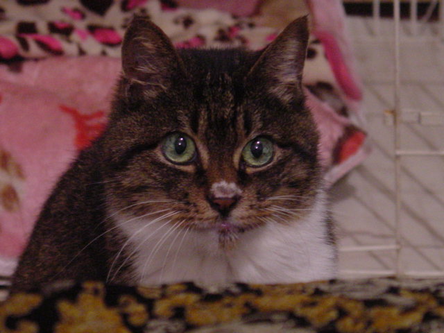 DSC00004